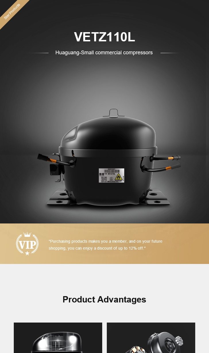 Huaguang Compressor VETZ110L, technical parameters pdf, structure diagram