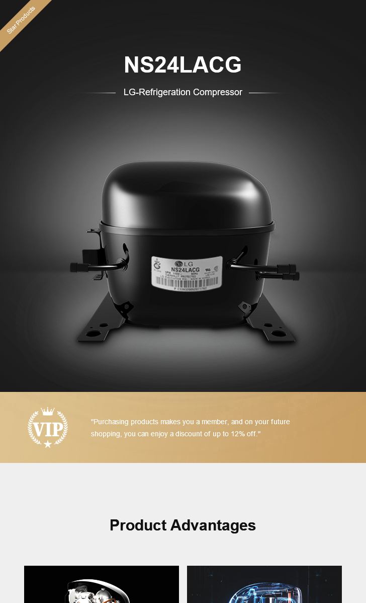 LG Compressor NS24LACG, technical parameters pdf, structure diagram