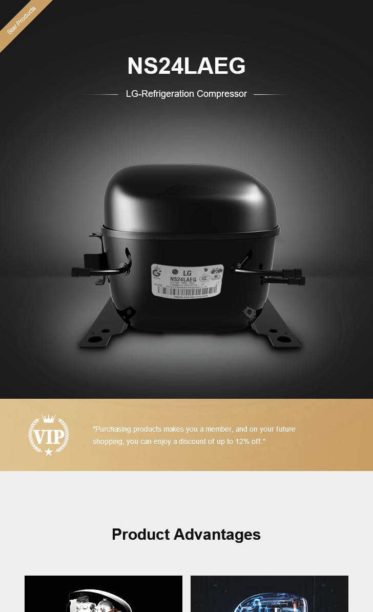LG Compressor NS24LAEG, technical parameters pdf, structure diagram