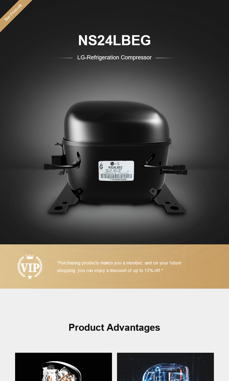 LG Compressor NS24LBEG, technical parameters pdf, structure diagram