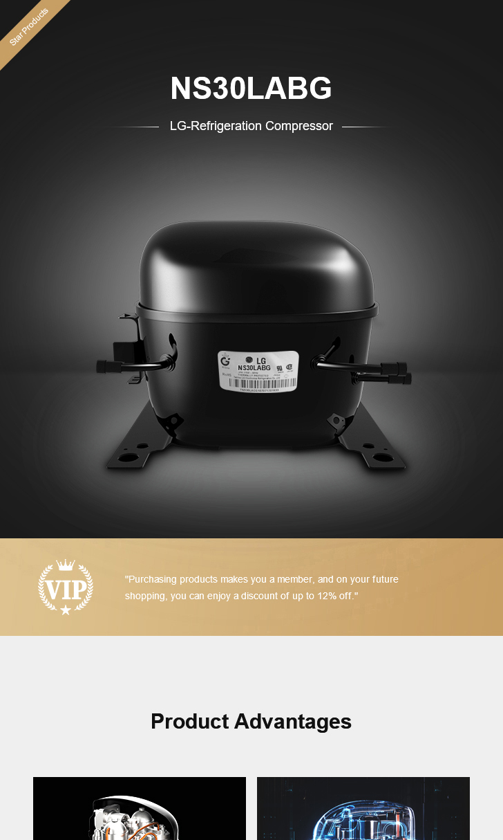 LG Compressor NS30LABG, technical parameters pdf, structure diagram