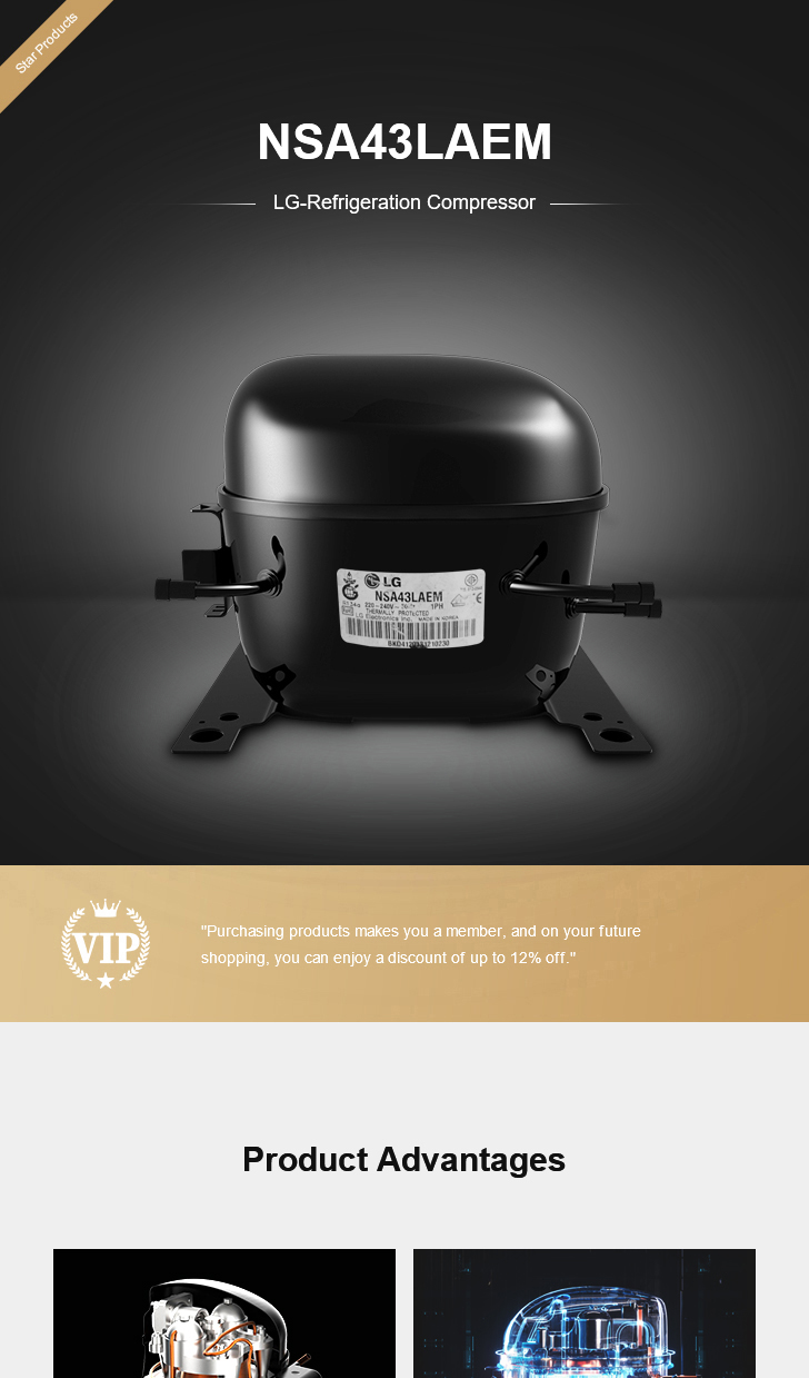 LG Compressor NSA43LAEM, technical parameters pdf, structure diagram