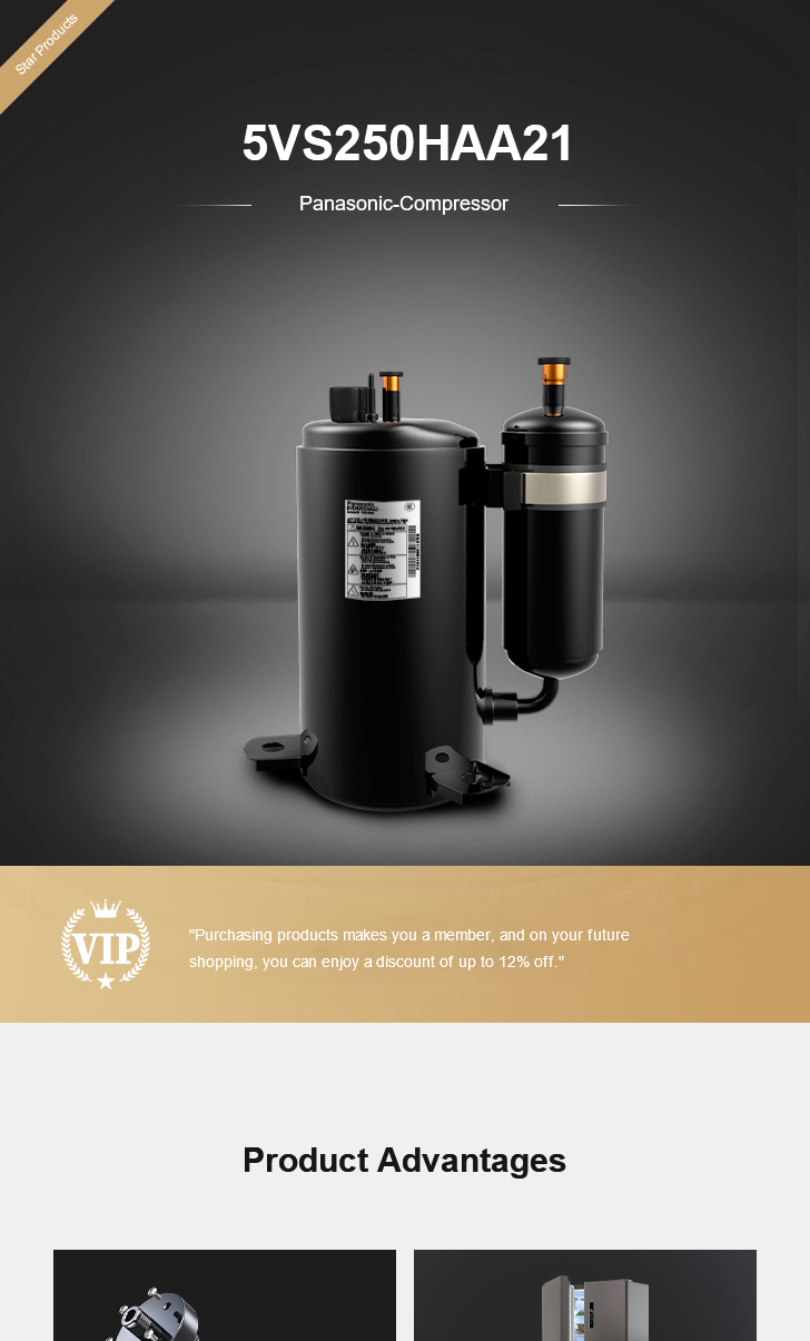 Panasonic Compressor 5VS250HAA21, technical parameters pdf, structure diagram