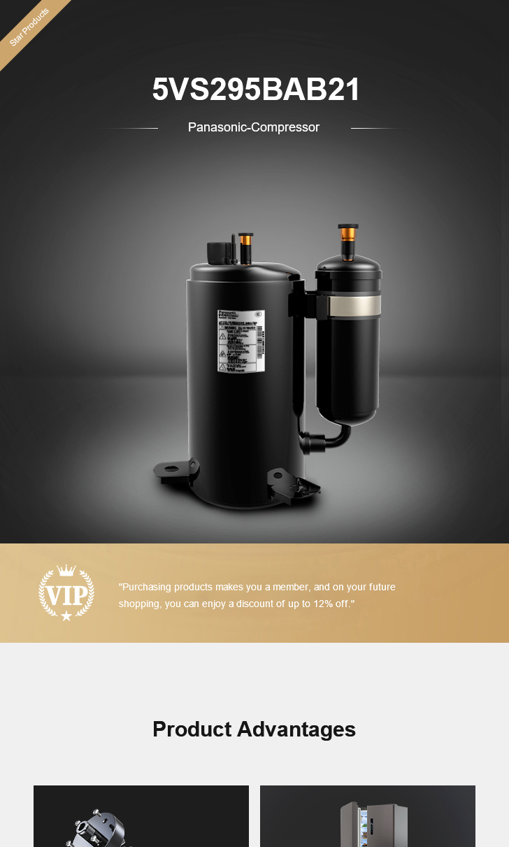 Panasonic Compressor 5VS295BAB21, technical parameters pdf, structure diagram