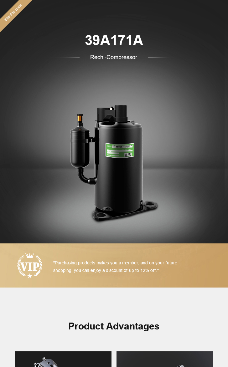 Rechi Compressor 39A171A, technical parameters pdf, structure diagram