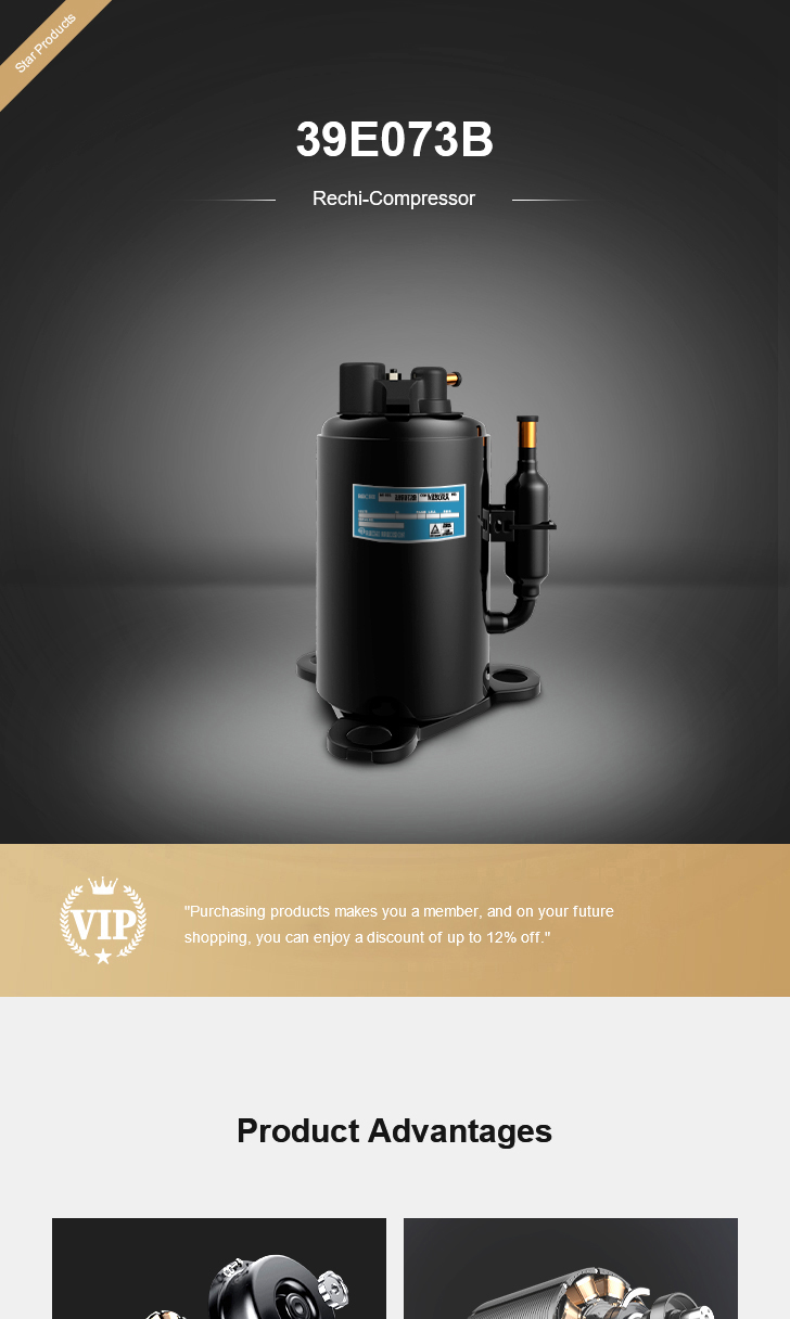 Rechi Compressor 39E073B , technical parameters pdf, structure diagram