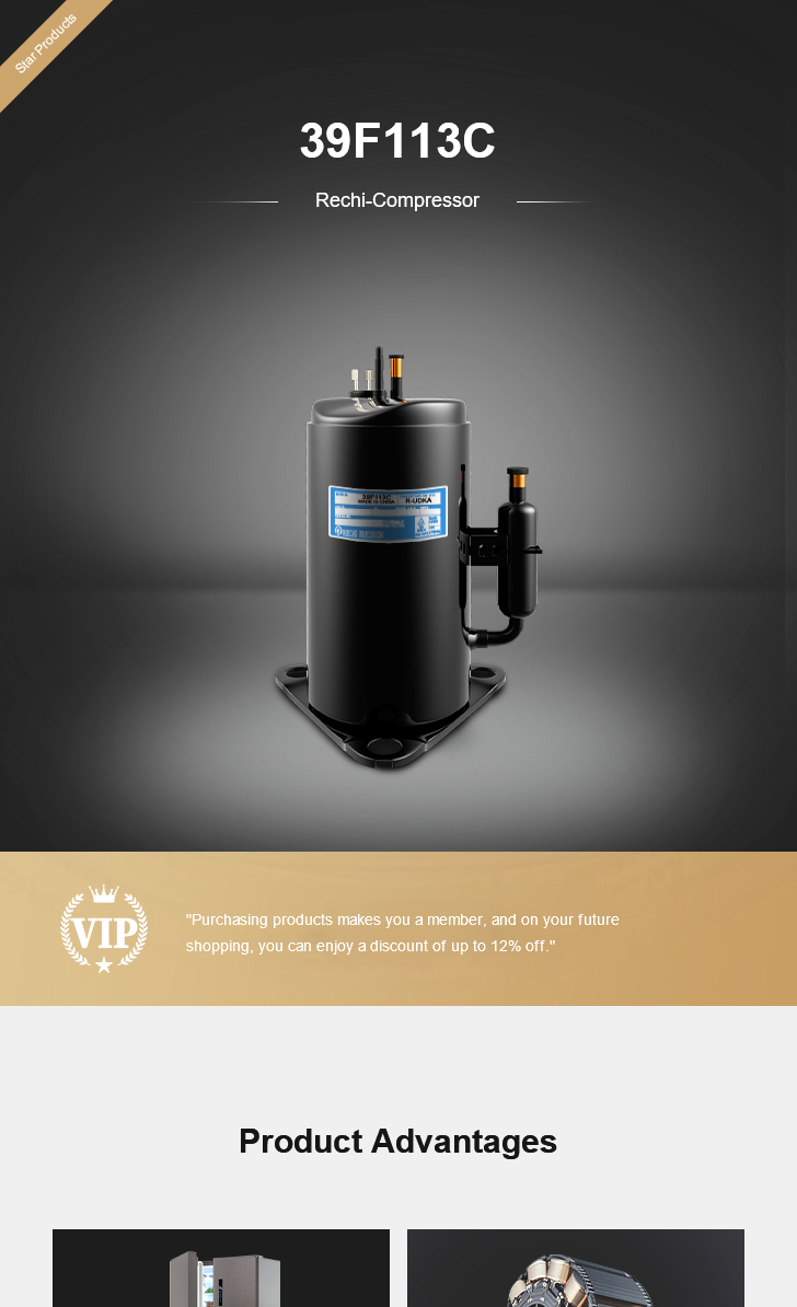 Rechi Compressor 39F113C, technical parameters pdf, structure diagram