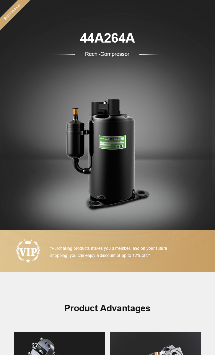 Rechi Compressor 44A264A, technical parameters pdf, structure diagram