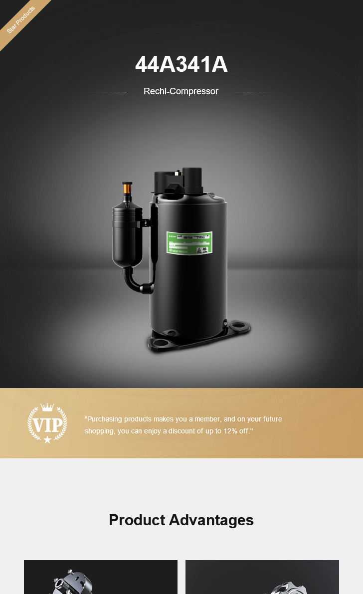 Rechi Compressor 44A341A, technical parameters pdf, structure diagram