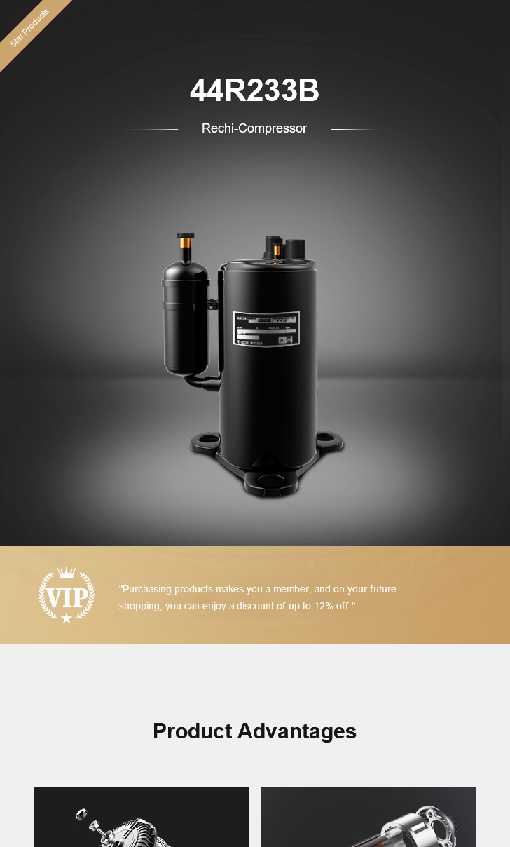 Rechi Compressor 44R233B, technical parameters pdf, structure diagram