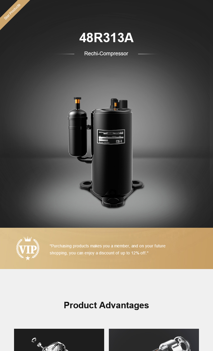 Rechi Compressor 48R313A, technical parameters pdf, structure diagram