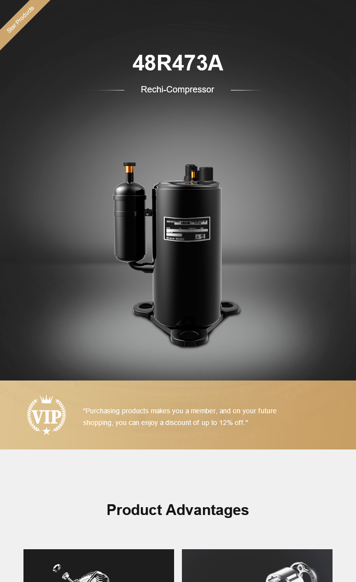 Rechi Compressor 48R473A, technical parameters pdf, structure diagram