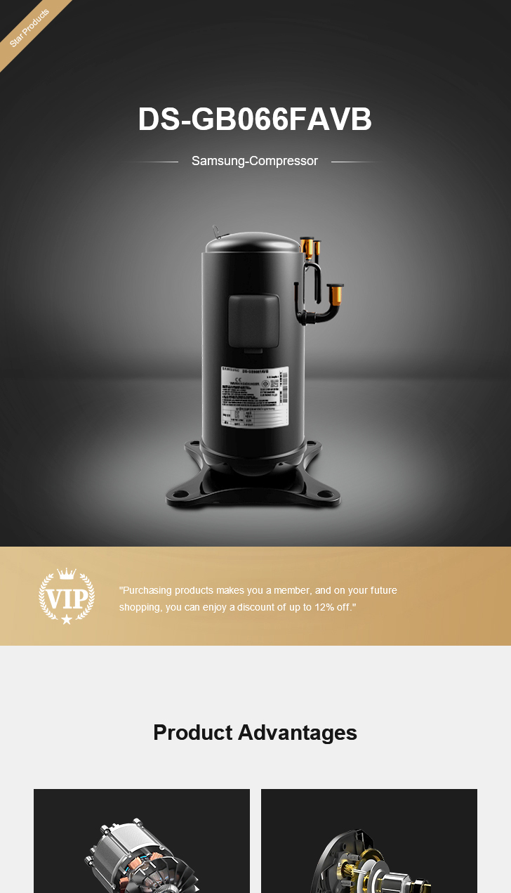 Samsung Compressor DS-GB066FAVB, technical parameters pdf, structure diagram