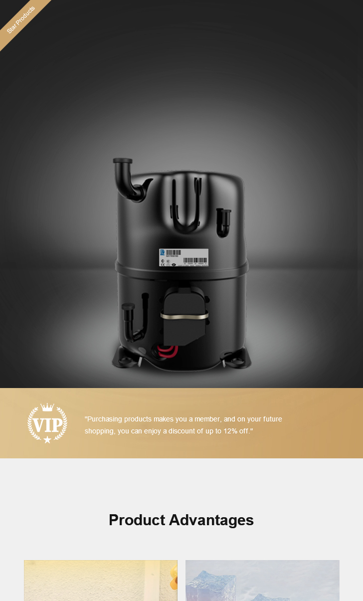 Tecumseh Compressor AVA5542EXG, technical parameters pdf, structure diagram