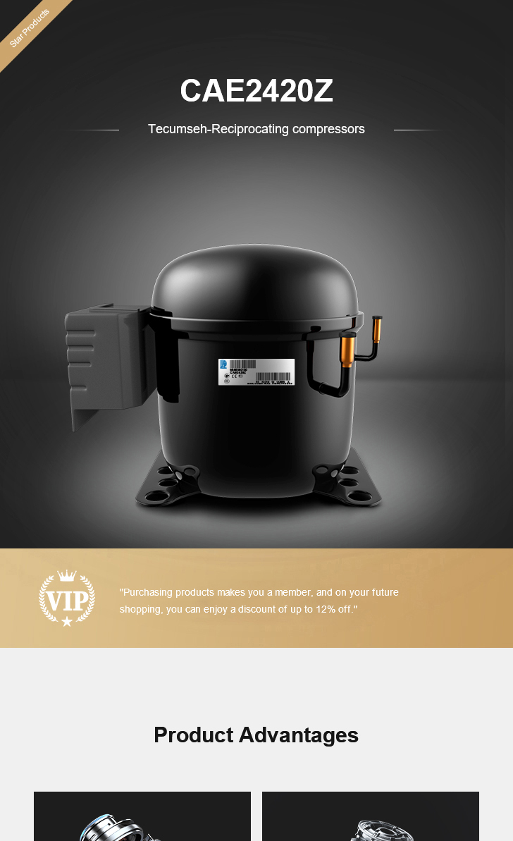 Tecumseh Compressor CAE2420Z, technical parameters pdf, structure diagram