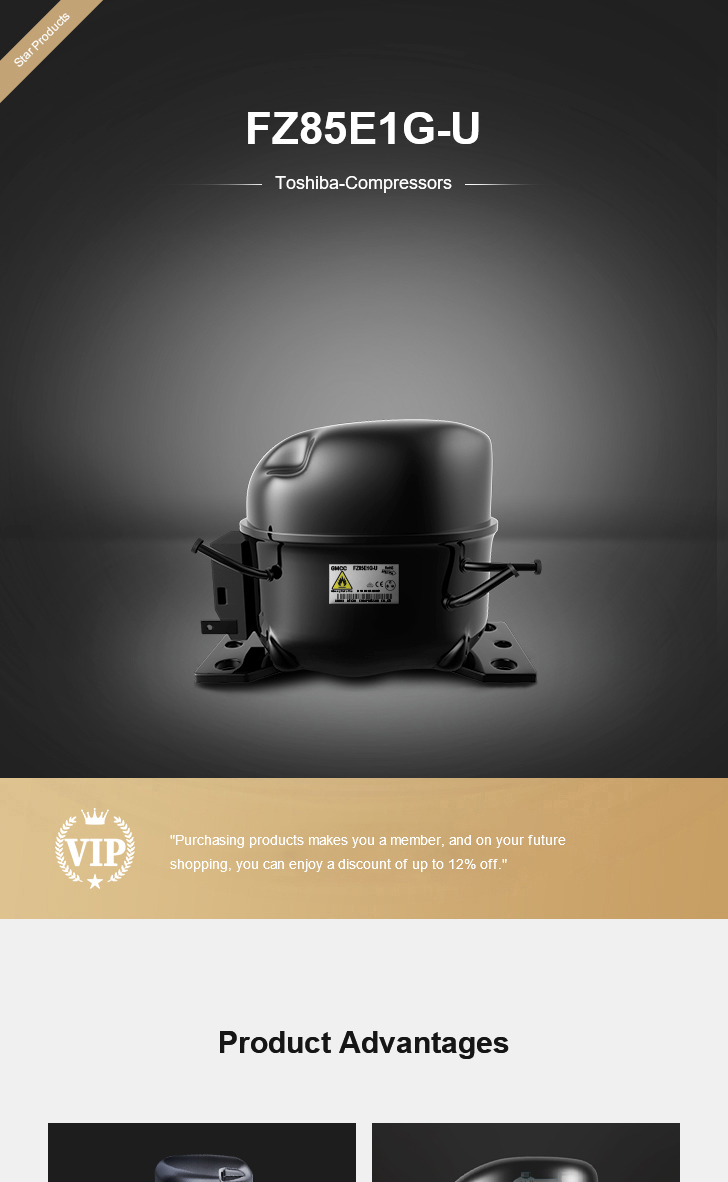 Toshiba Compressor FZ85E1G-U, technical parameters pdf, structure diagram