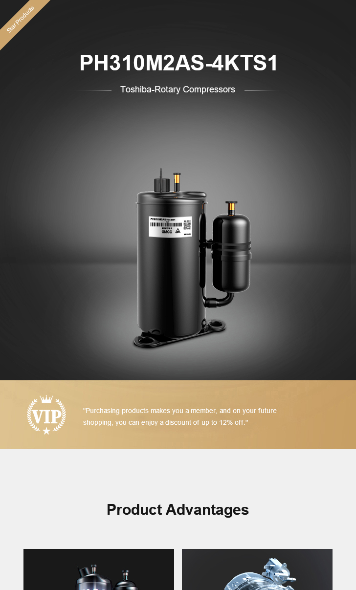 Toshiba Compressor PH310M2AS-4KTS1, technical parameters pdf, structure diagram