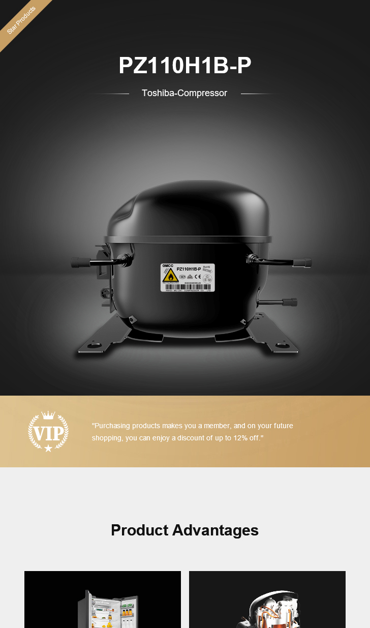 Toshiba Compressor PZ110H1B-P, technical parameters pdf, structure diagram