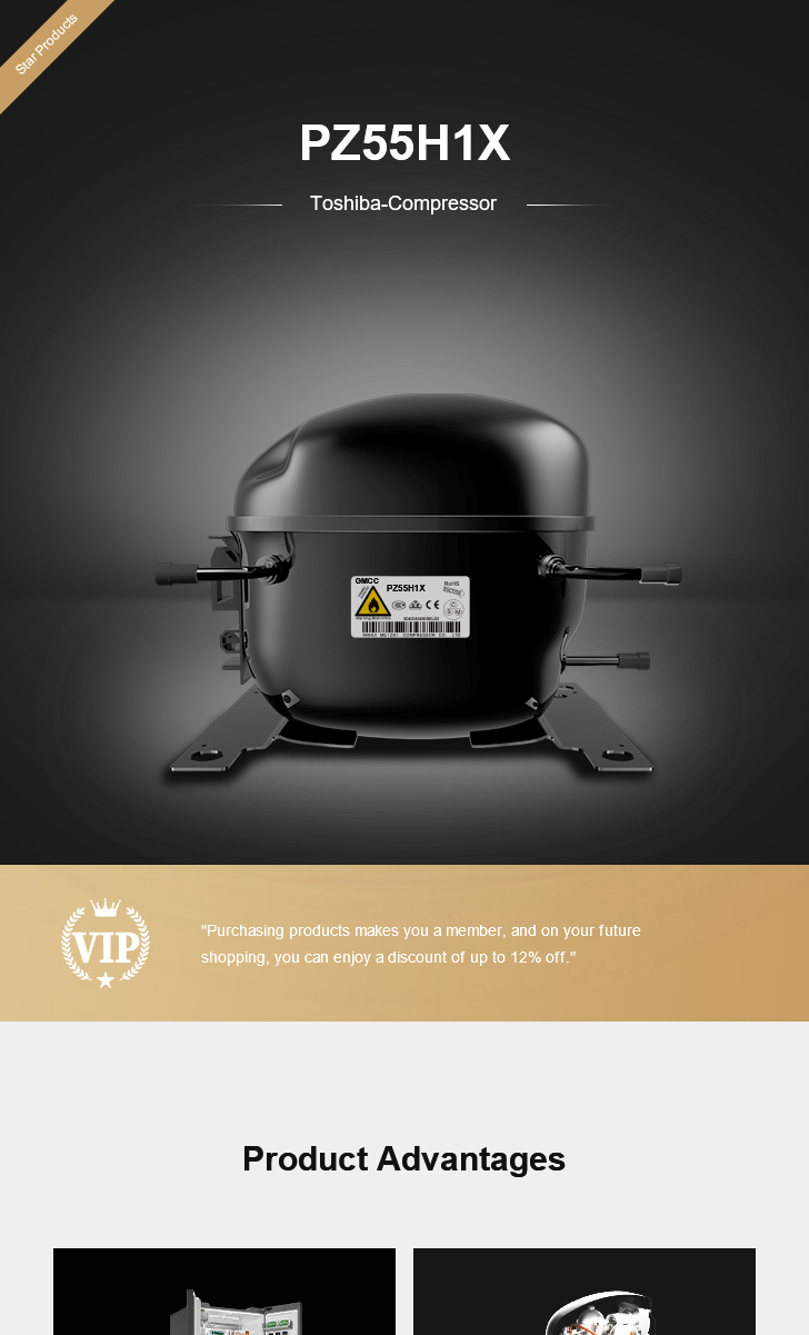 Toshiba Compressor PZ55H1X, technical parameters pdf, structure diagram