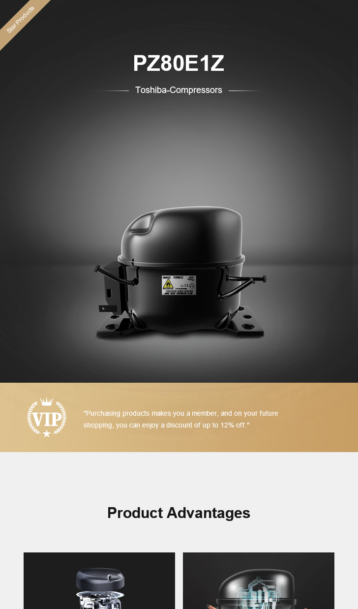 Toshiba Compressor PZ80E1Z, technical parameters pdf, structure diagram