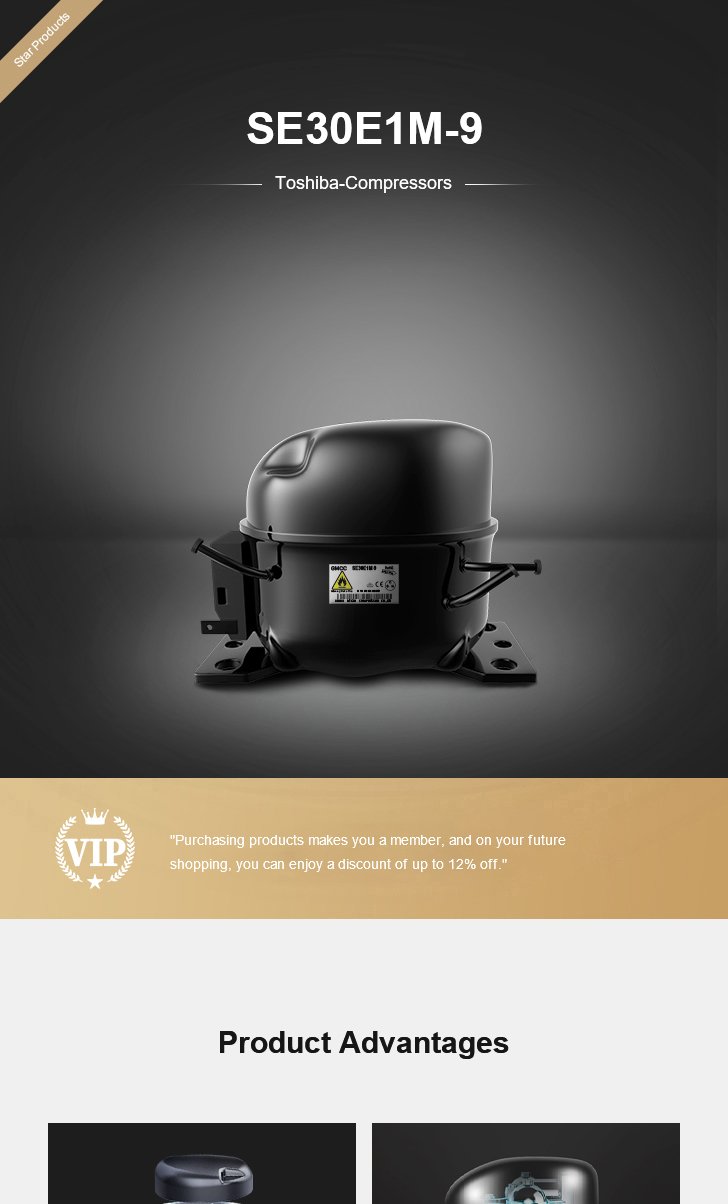 Toshiba Compressor SE30E1M-9, technical parameters pdf, structure diagram