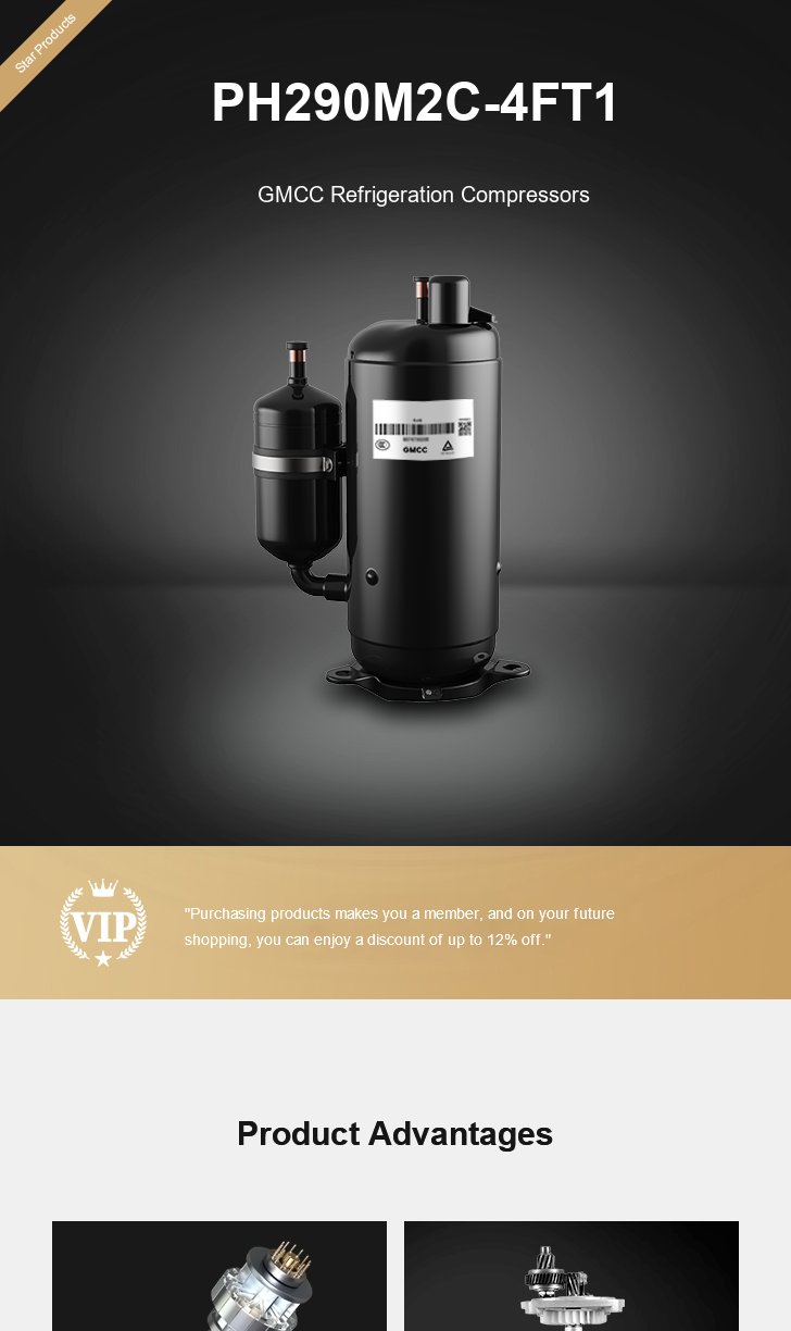 GMCC Compressor PH290M2C-4FT1, technical parameters pdf, structure diagram