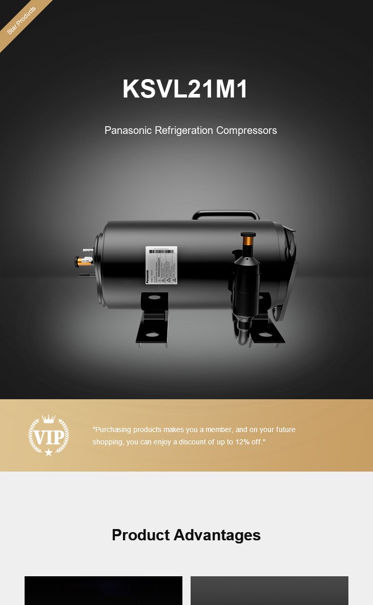 Panasonic Compressor KSVL21M1, technical parameters pdf, structure diagram