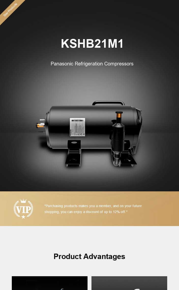 Panasonic Compressor KSHB21M1, technical parameters pdf, structure diagram