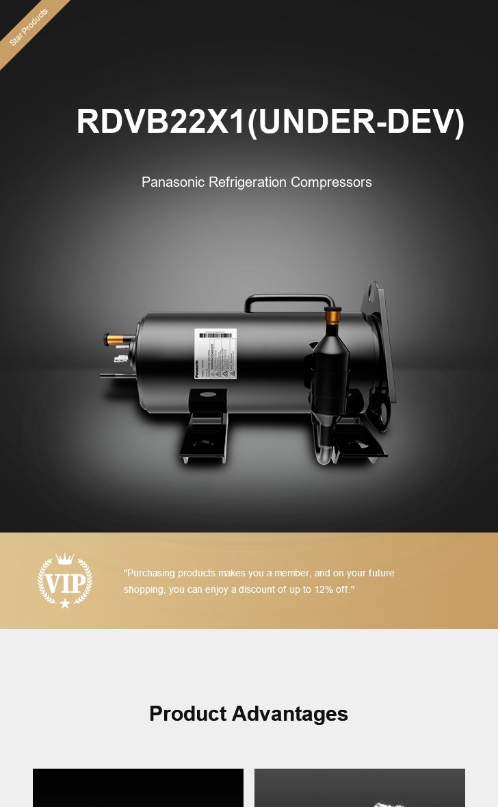 Panasonic Compressor RDVB22X1(UNDER-DEV), technical parameters pdf, structure diagram