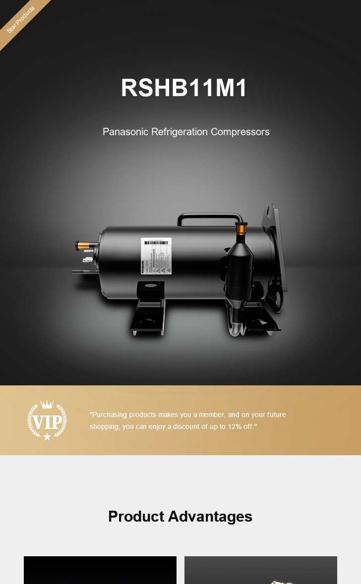 Panasonic Compressor RSHB11M1, technical parameters pdf, structure diagram