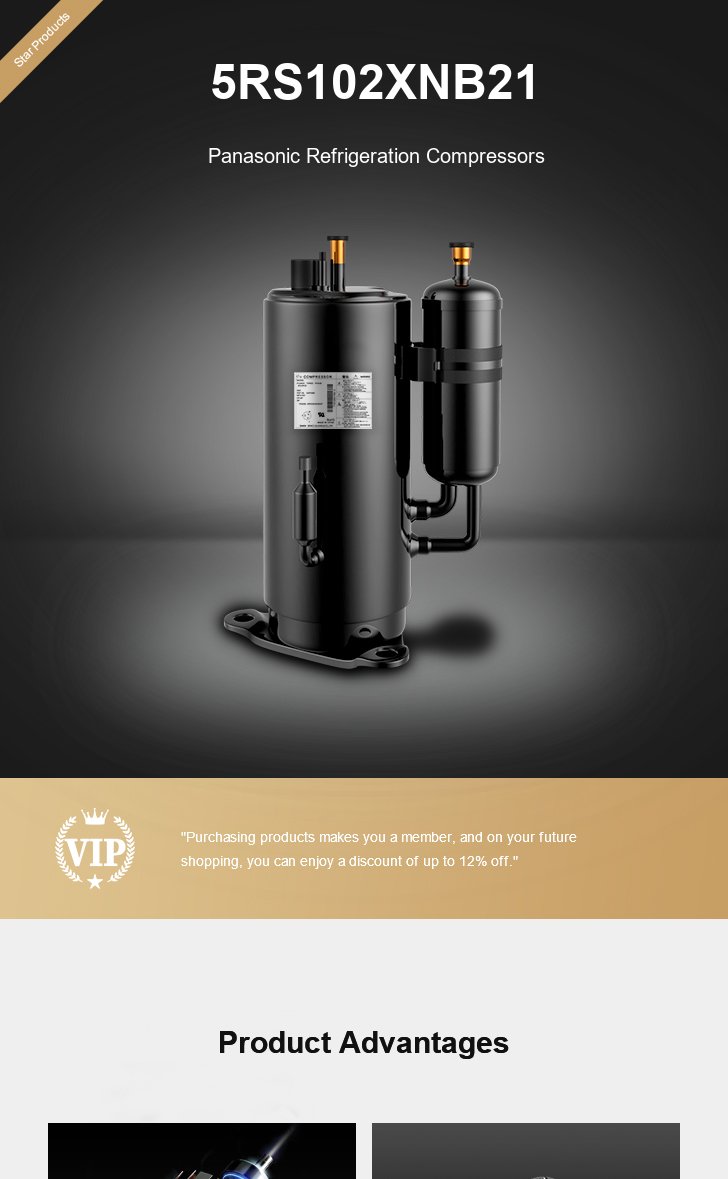 Panasonic Compressor 5RS102XNB21, technical parameters pdf, structure diagram