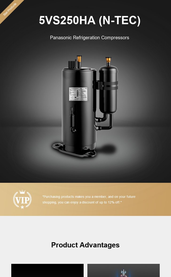 Panasonic Compressor 5VS250HA (N-TEC), technical parameters pdf, structure diagram