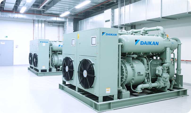 Jalisco Food Export Company Automated Cold Storage Project Solutions