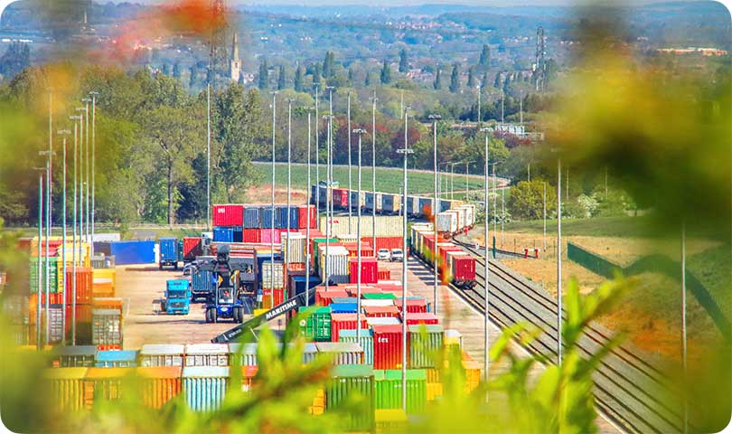 MEDLOG Savannah Automated Cold Storage Project