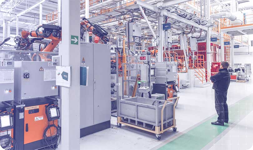 Navarra Frozen Vegetables Company's full-process intelligent cold storage